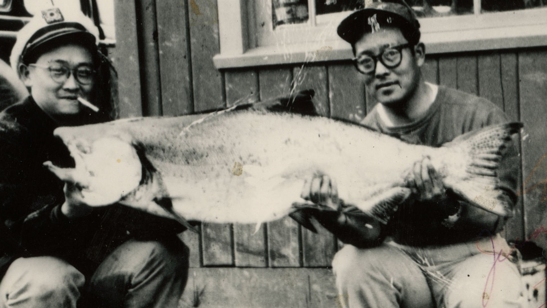 🏛️ 도쿠시마시 덴구히사 자료관(도쿠시마시 텐구히사 시료칸) 이미지 9